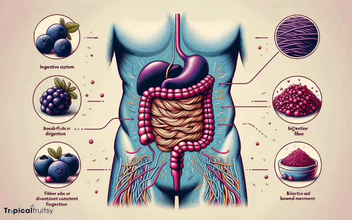 Acai Berry Nutritional Profile