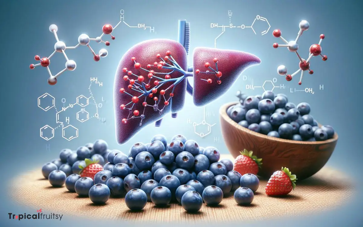 Amino Acids and Liver Function