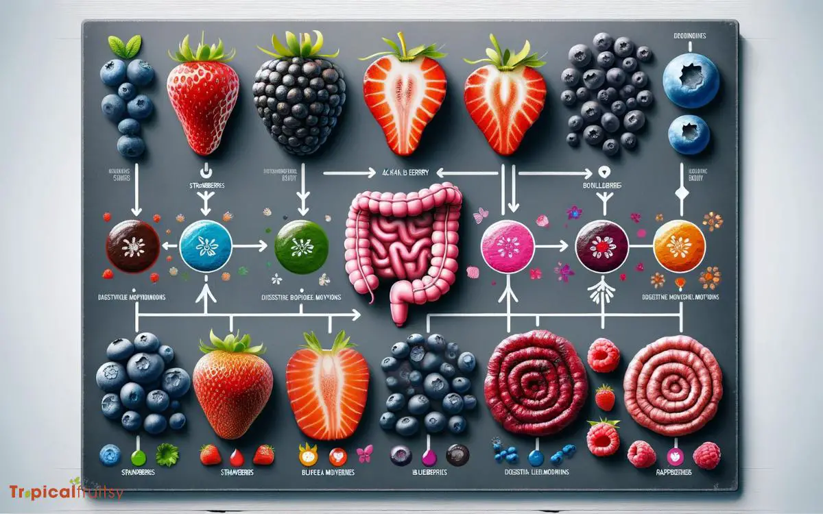 Comparing Acai to Other Berries