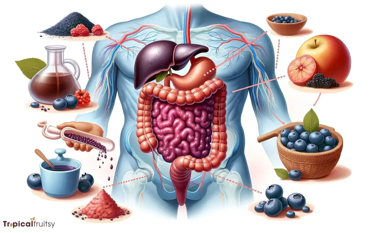 How Acai Berries Affect Digestion