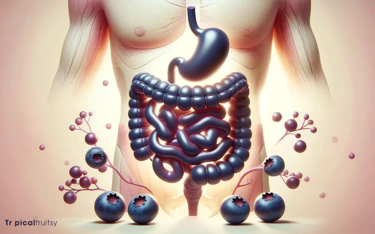 Influence on Digestive Health