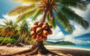 Is Coconut a Tropical Fruit