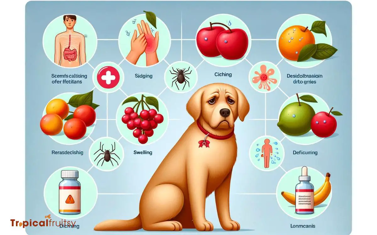 Signs of Allergic Reactions