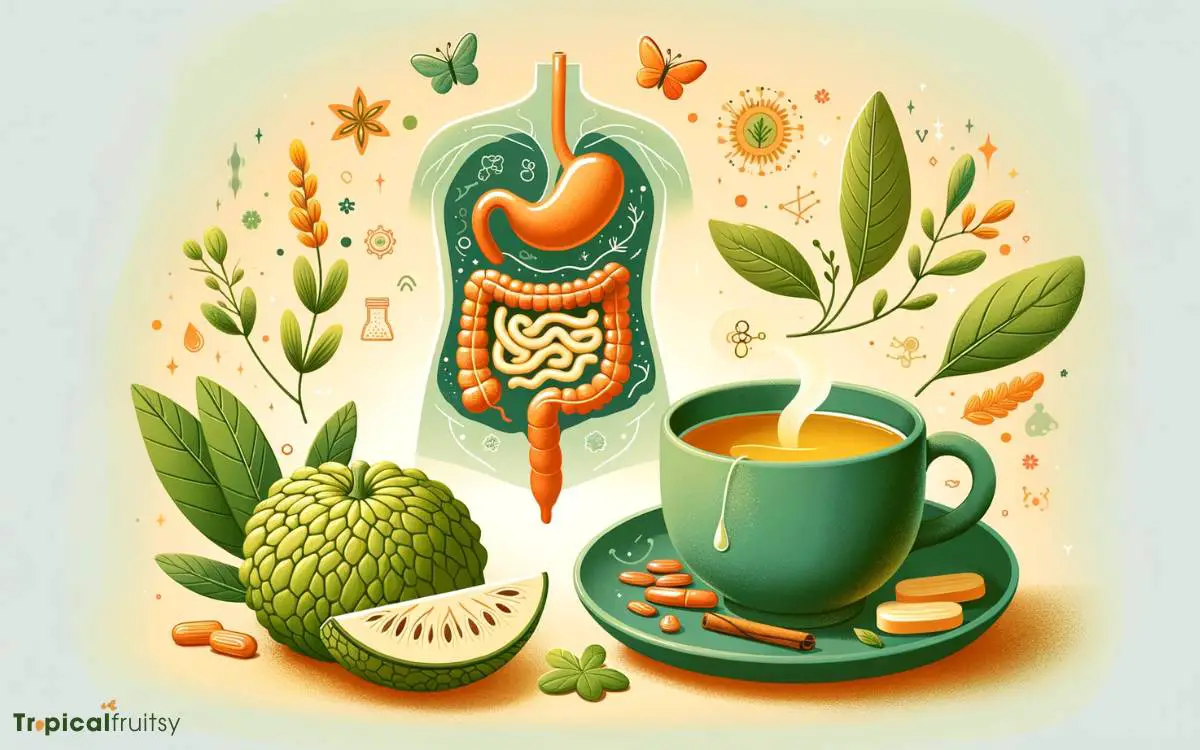 Digestive System Benefits