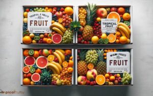 Tropical Fruit Box Vs Miami Fruit