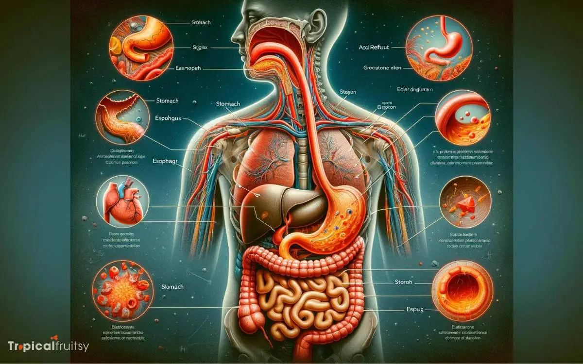 Understanding Acid Reflux