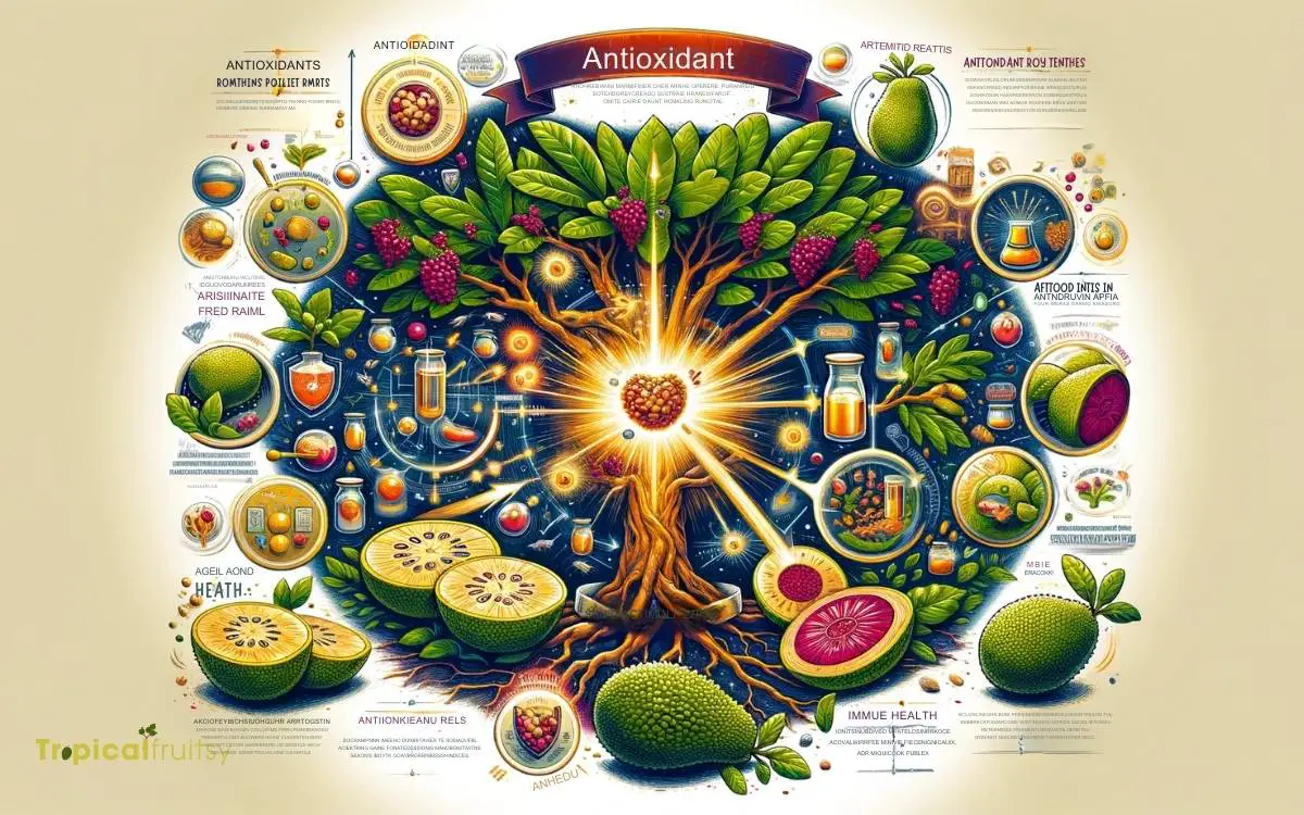 Antioxidant Properties Explored