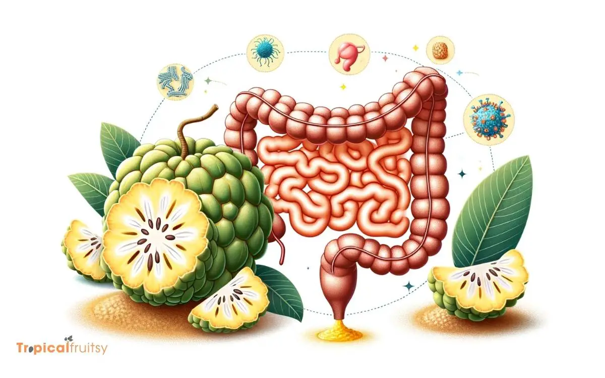 Custard Apples Nutritional Profile