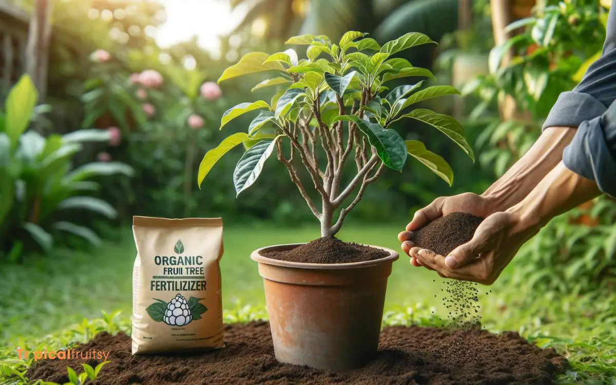 Fertilizing Your Custard Apple