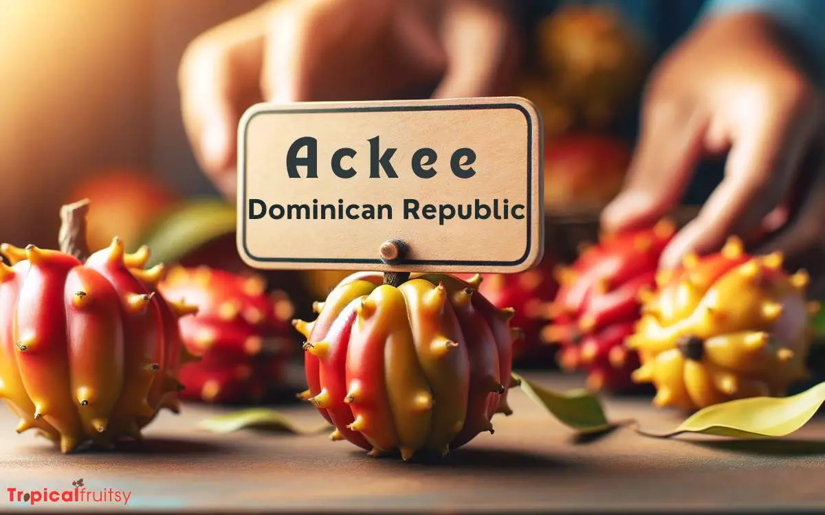 The Dominican Name for Ackee