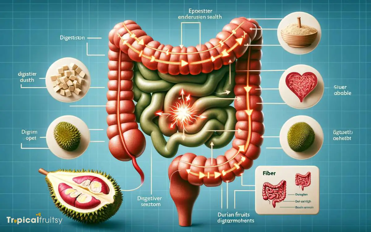 Digestive Benefits of Fiber