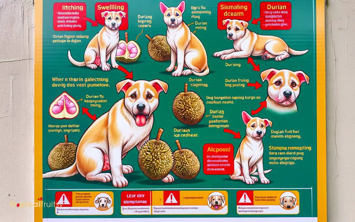 Durian Allergies in Dogs