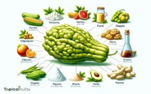 Is Chayote High in Purine