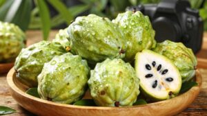 top cherimoyas for 2026